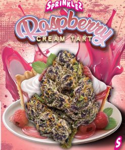 Raspberry Cream Tart 2k